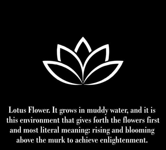 75ff60bbc2fdaac32637b0c03c10abff